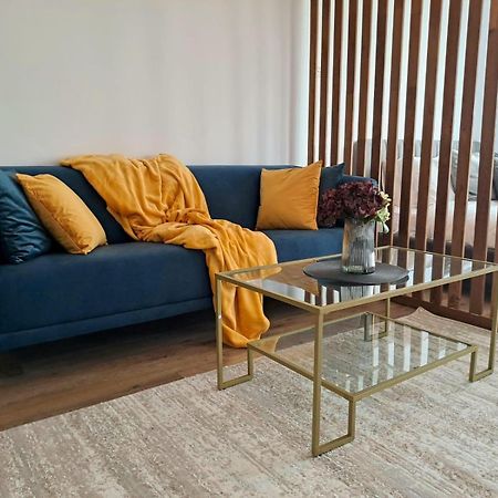 Mountain Breeze Luxury Apartment Ac & Parcare Privata Braşov Eksteriør billede