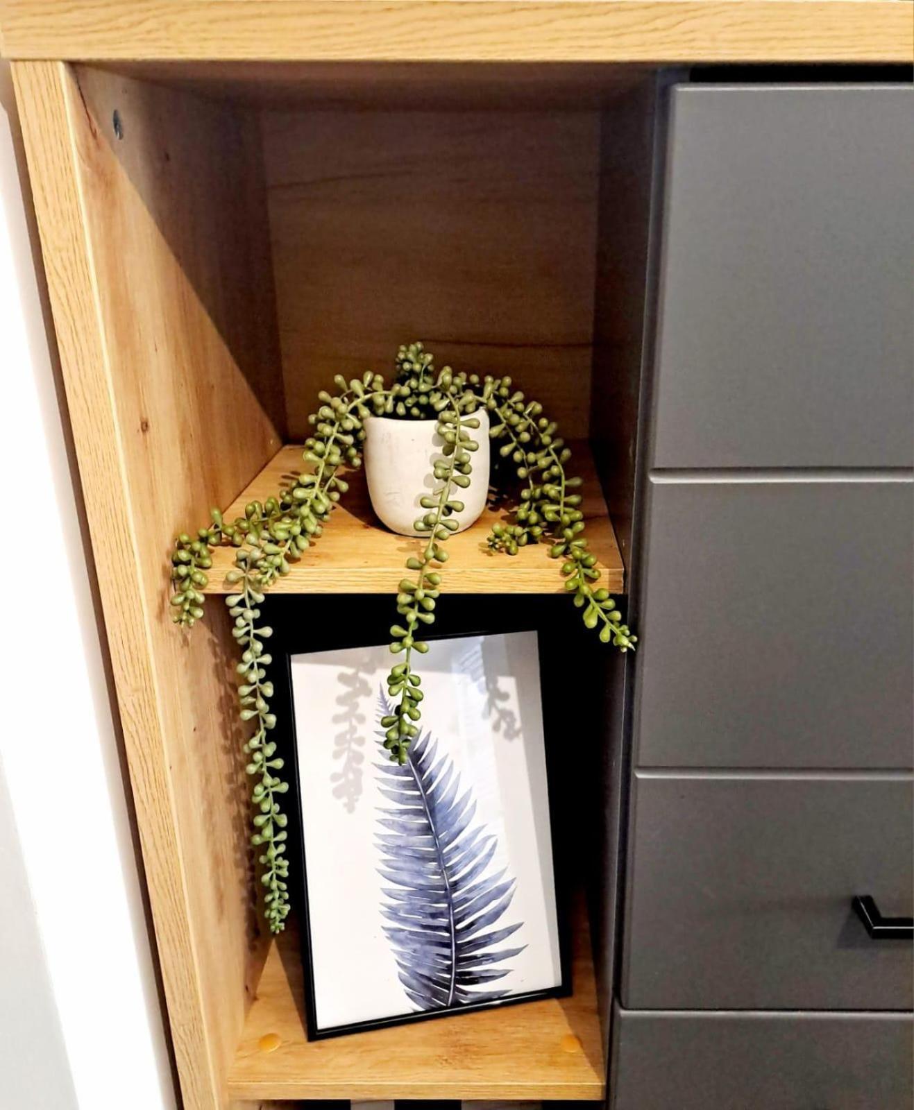 Mountain Breeze Luxury Apartment Ac & Parcare Privata Braşov Eksteriør billede